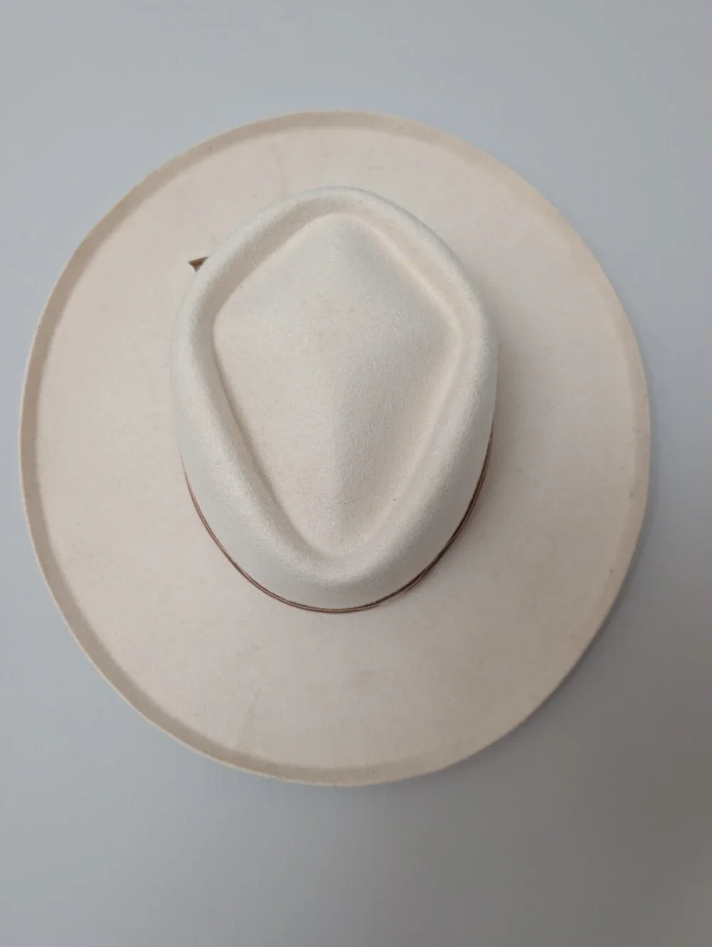 Lack Of Color Rancher Hat